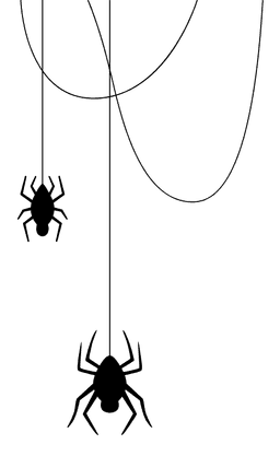 spider